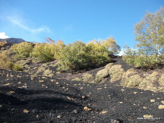 llone monte Zappinazzo-04-11-2012 09-58-22
